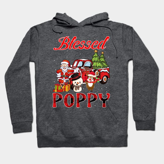 Blessed Poppy Red Plaid Christmas Hoodie by intelus
